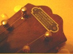mandoline detail